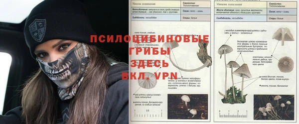 каннабис Балабаново
