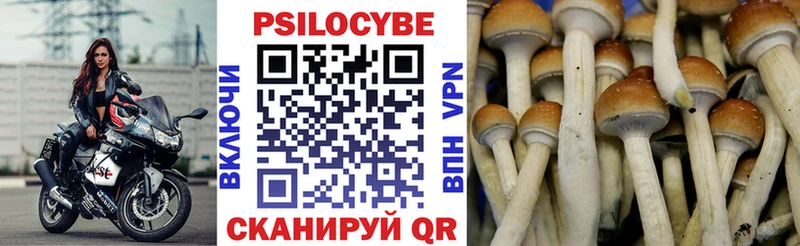 Галлюциногенные грибы мухоморы Черняховск