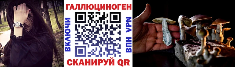 Псилоцибиновые грибы мицелий  наркотики  Черняховск 